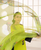 LIME LUXE - Vibrant 3pc Parrot Green Lawn Ensembles π